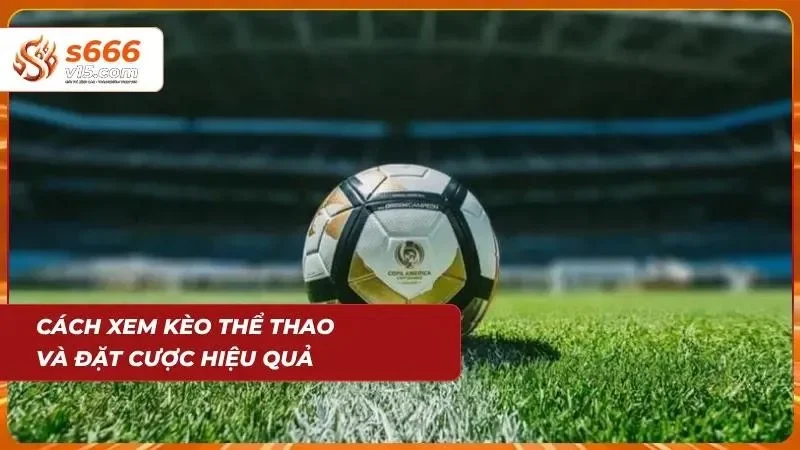 Cách xem kèo thể thao và đặt cược tại S666